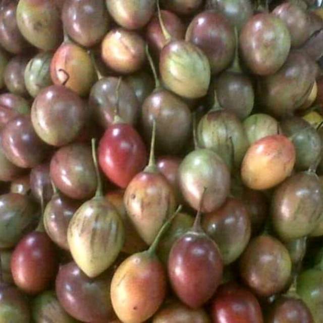 

Terong Belanda/Kori