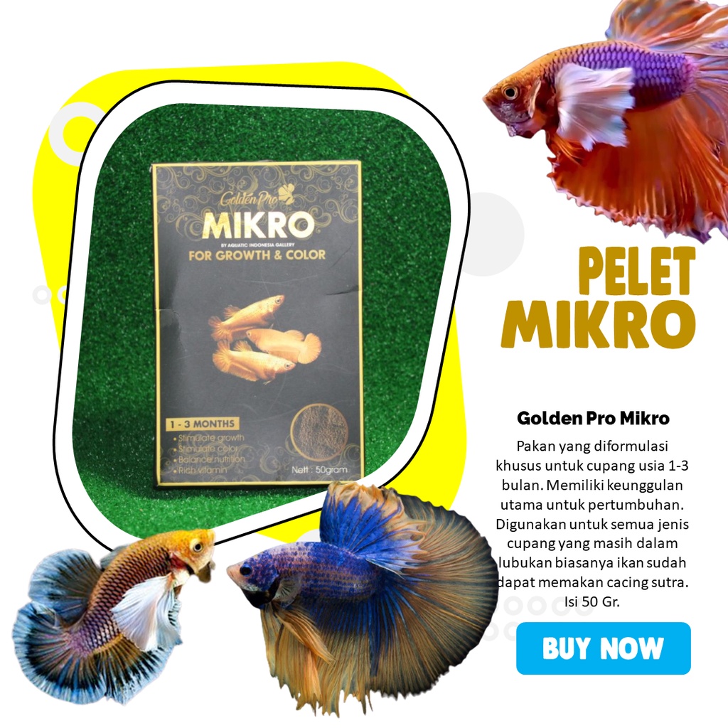 Pelet Ikan Cupang Betta Fish - Mikro Untuk Lubukan