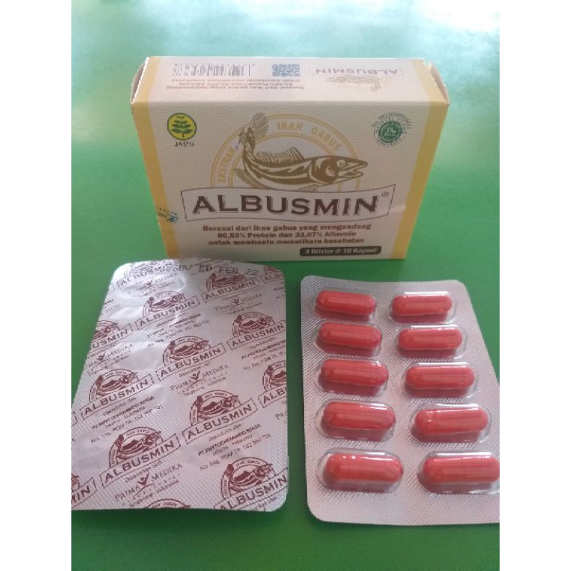 Albusmin kapsul ikan gabus
