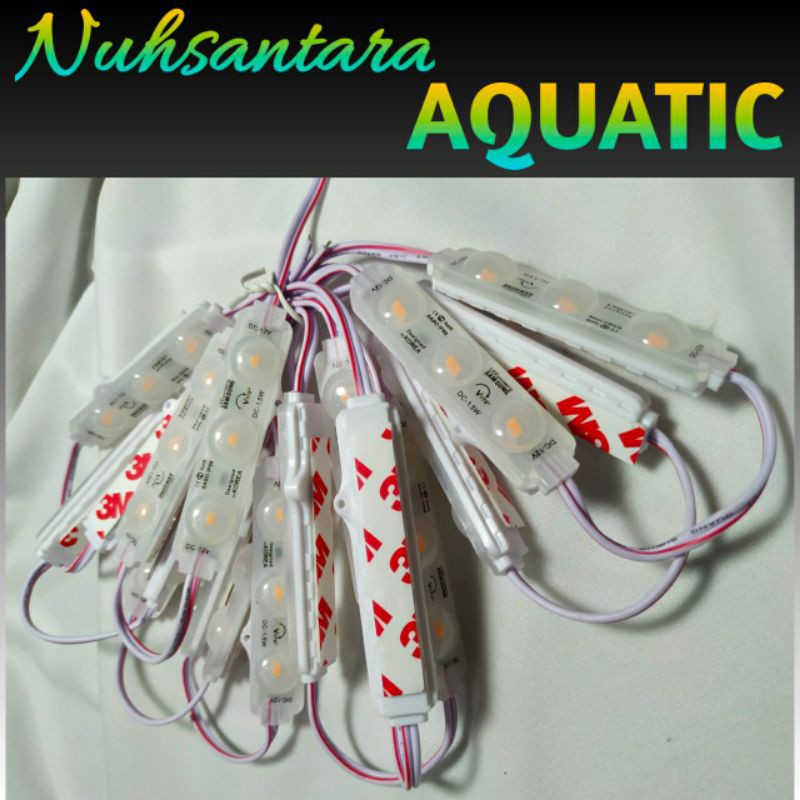 LAMPU LED MODUL STRIP SAMSUNG SMD 6618 3MATA BESAR 12V DC 1,2 WATT WATERPROOF NEON BOX AQUARIUM MOTO