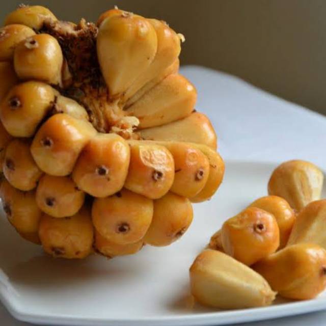 

Asam cekala / Asam cikala / Buah kecombrang