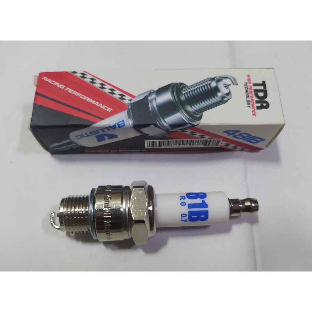 BUSI TDR RACING RX KING F1ZR TDR 481B RACING