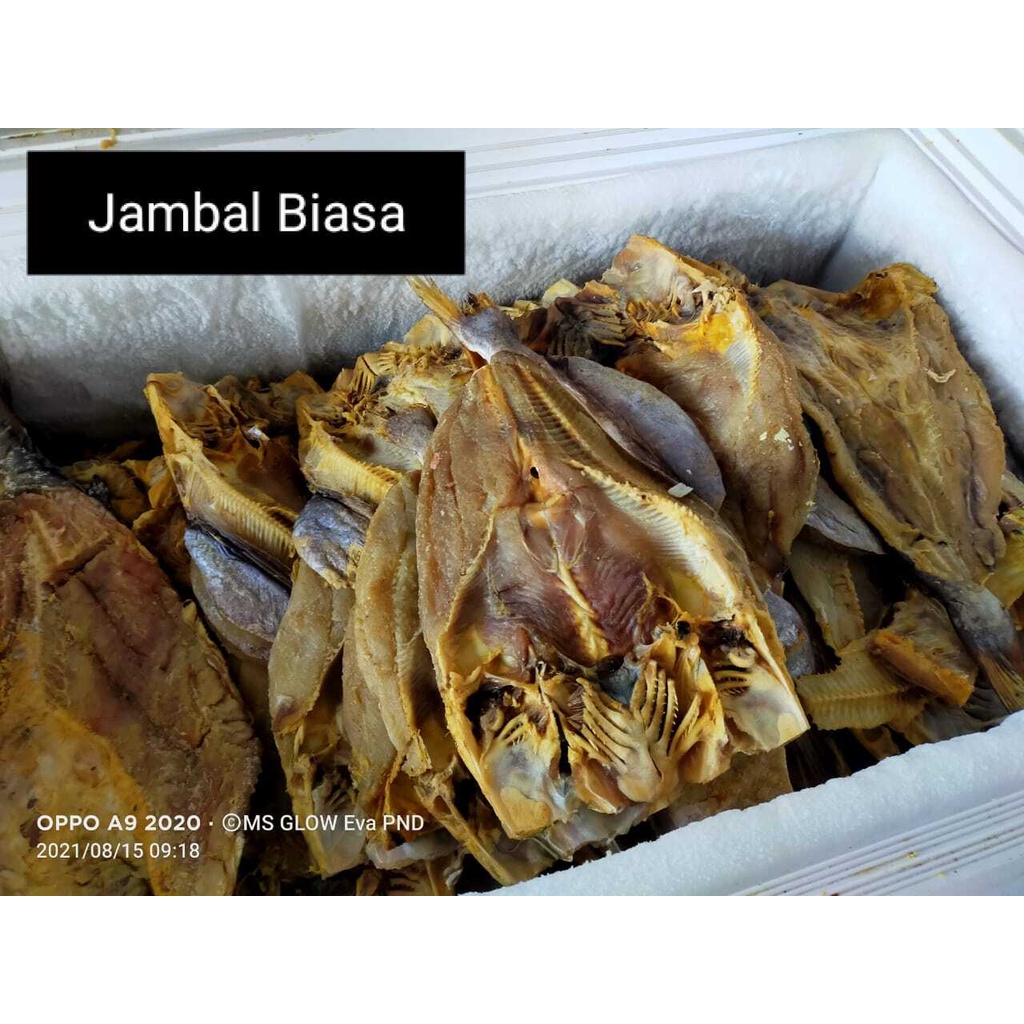 

Ikan Asin Jambal Roti Biasa 1Kg
