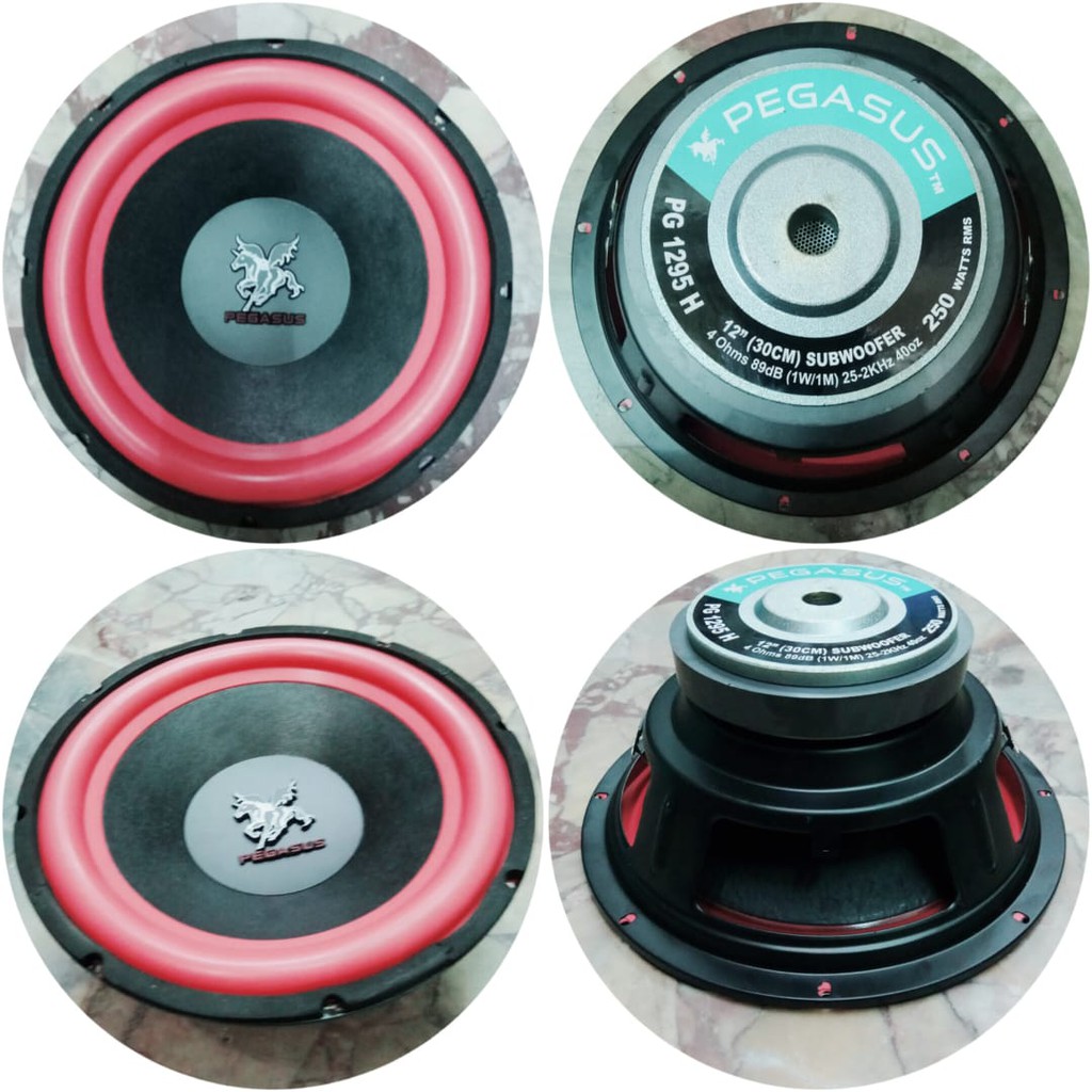 Subwofer Speaker Pegasus PG 1295 H 12 inch