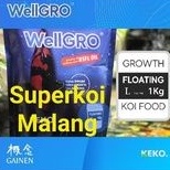 Wellgro Koi Gainen 1KG 1 KG Well Gro Pakan Ikan Pelet Warna Color Grow