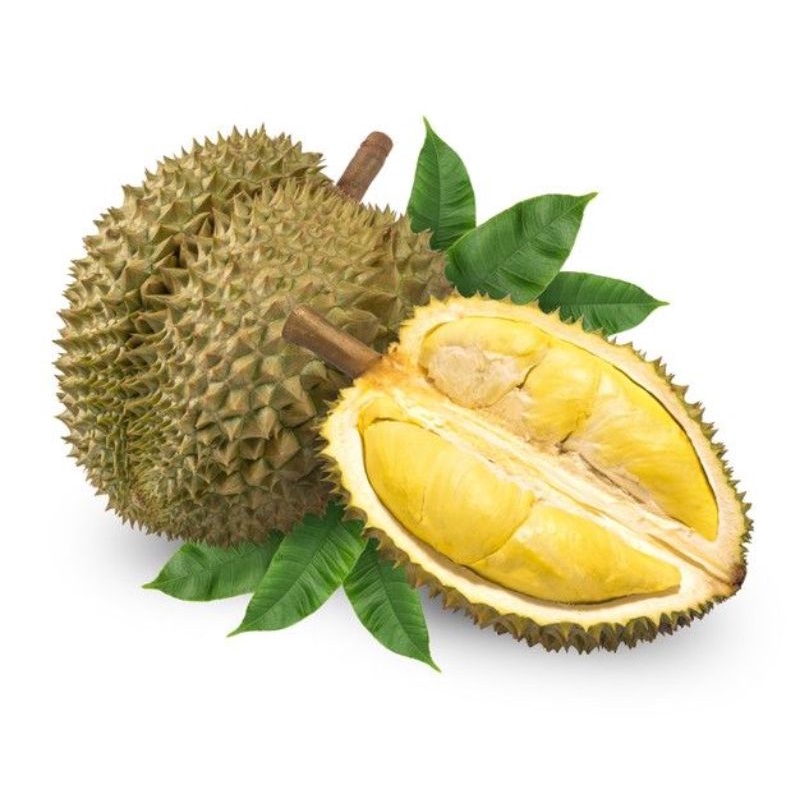 

Durian asli sumbar