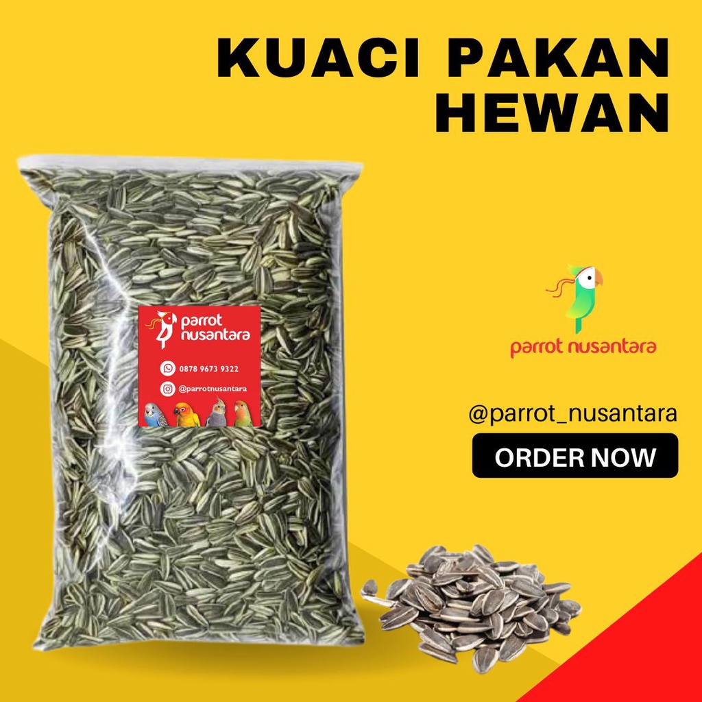 kuaci burung 1kg murah