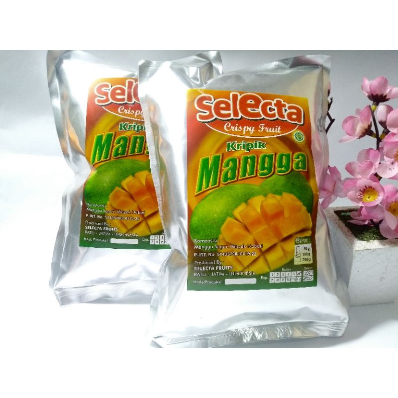 

Keripik Mangga Selecta Crispy Fruit