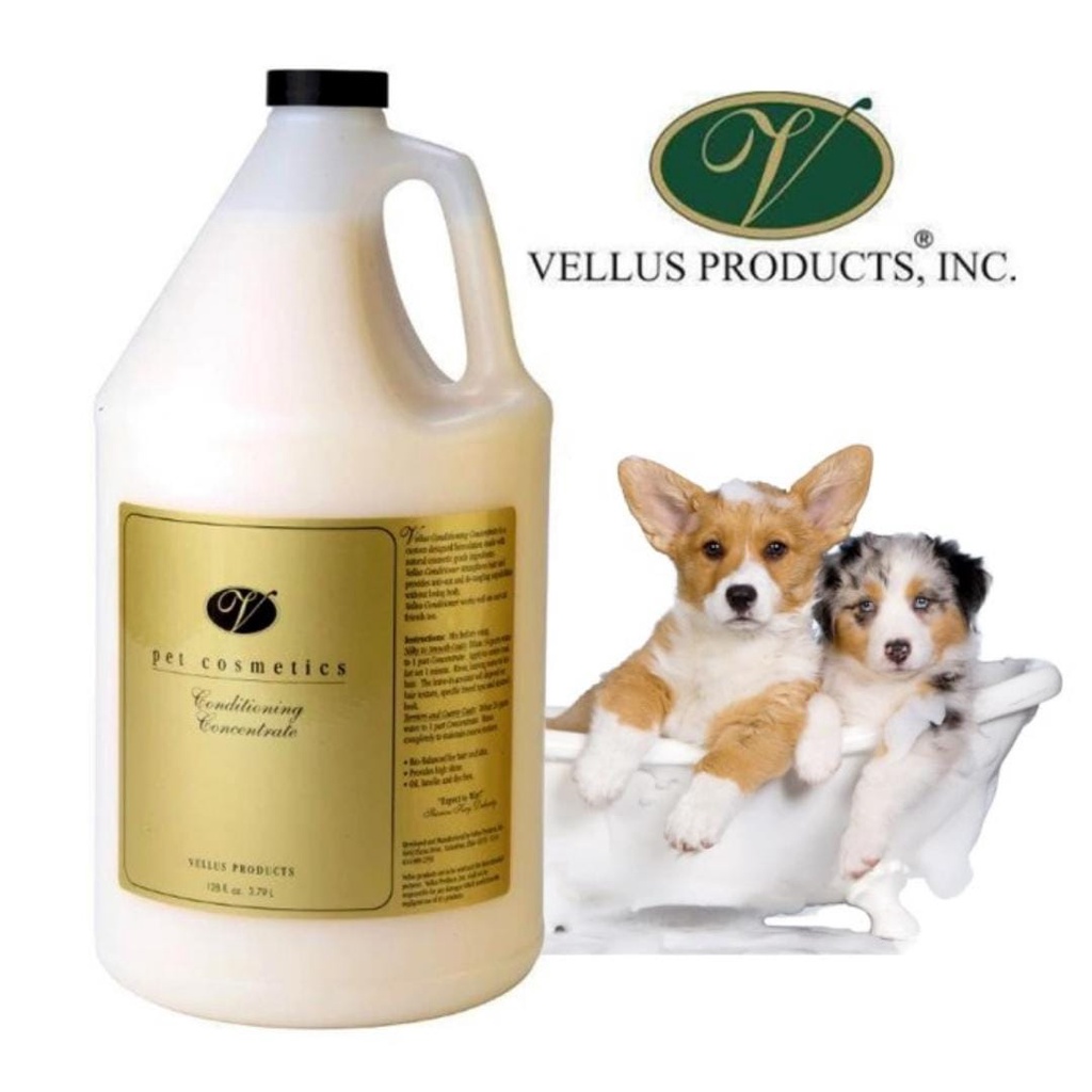 VELLUS SHOW CONDITIONING CONCENTRATE 1 GALON conditioner anjing kucing bulu putih