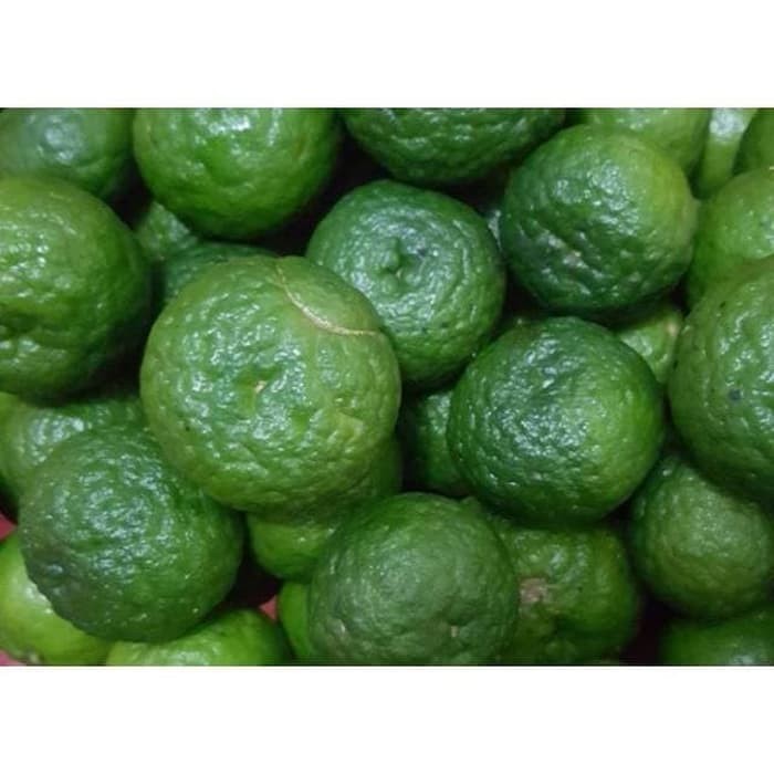 

Buah Jeruk Limau 250gr Jeruk limo Untuk Sambal 250 gr