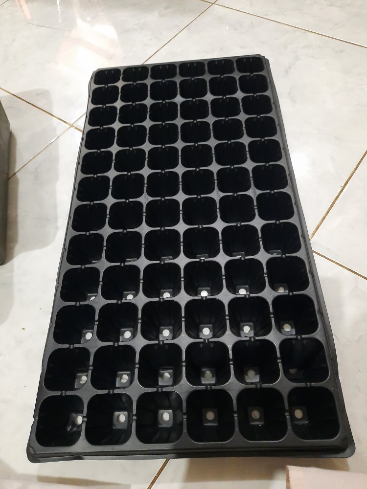 Purie Garden Tray Semai 72 Lubang