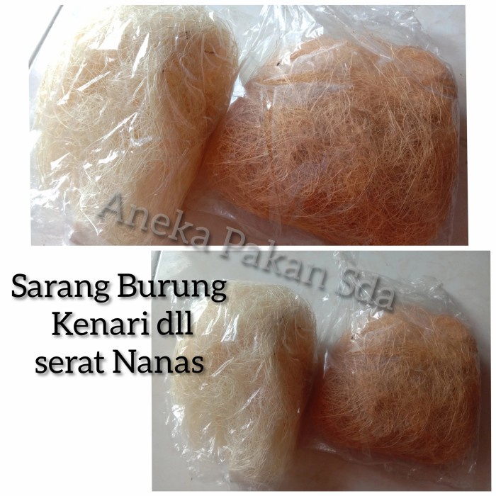 Sarang Burung KENARI/ sarang burung Serat Nanas