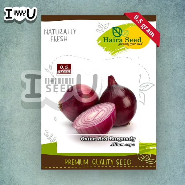 Haira Seed BIbit-Biji Bawang Merah Red Burgundy