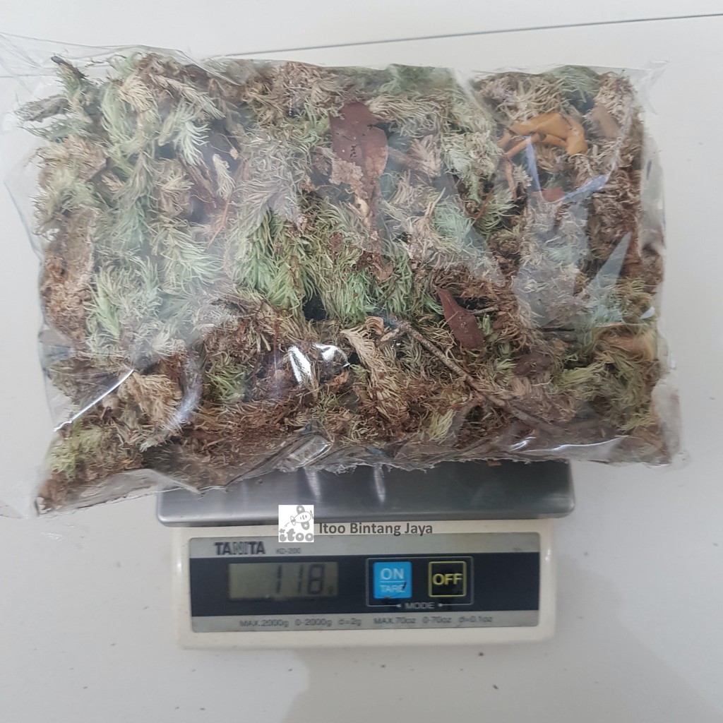 Moss Putih Hutan (100 gr) - Moss Putih Media Tanam Anggrek Lokal