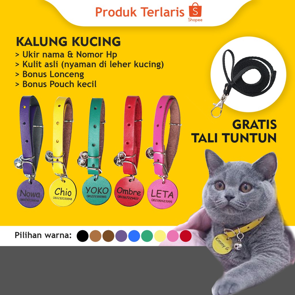 LOOD KALUNG KUCING KULIT ASLI - GRATIS UKIRAN NAMA | Shopee Indonesia