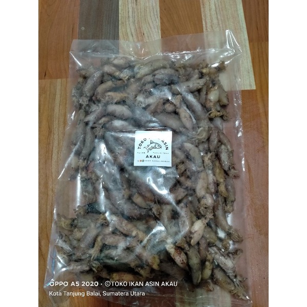 

Cumi-cumi / sotong REMAJA tawar