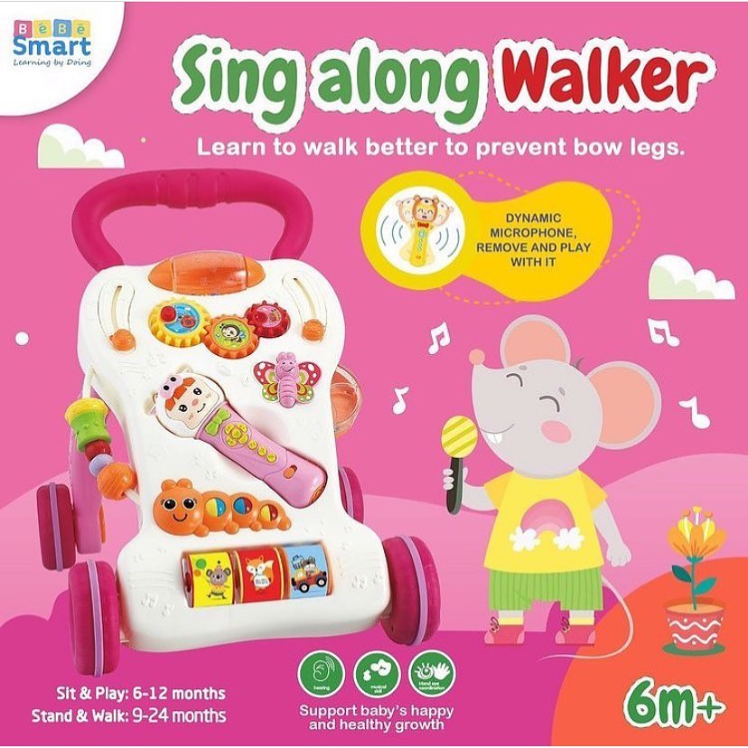 Bebe Smart Sing Along Walker