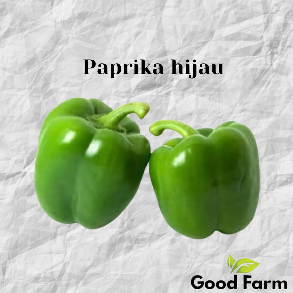 BENIH PAPRIKA ISI 4 / PAPRIKA HIJAU / KEMASAN EKONOMIS