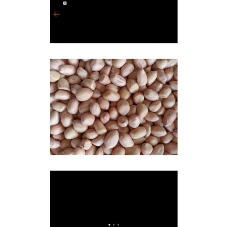 

kacang tanah 1kg