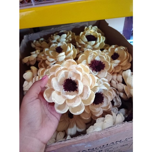 Bunga Klobot Jagung Bunga Marigold Rustic Bunga Kering Dried Flower Kotak Cincin