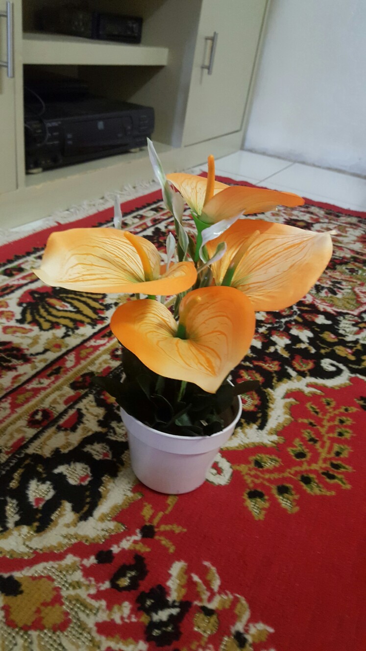 Decor Art  Grosir Artifisial Realistic Home Plants Bunga Meja Terbaru Kualitas Impor - Bs 6