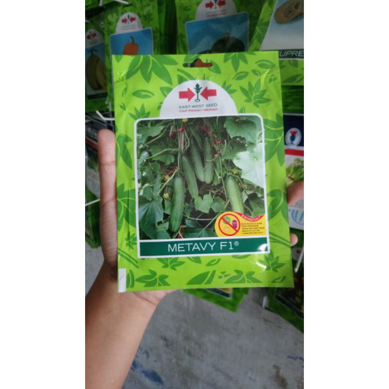 Benih  Timun Hijau METAVY 175BJ