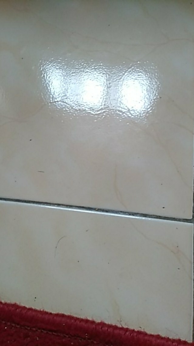 Faaz Pembersih Porcelain Cleaner Pembersih Keramik Kamar Mandi Faaz Cleaner Faaz 500ml Gratis Kuas