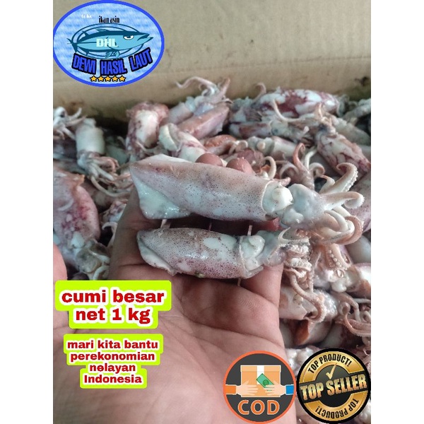 

Ikan asin cumy 1 kg