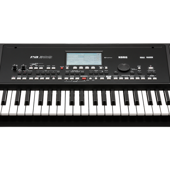 KORG Keyboard PA-300 / PA300 / PA 300