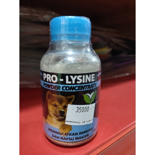 PRO LYSINE POWDER CONCENTRATE