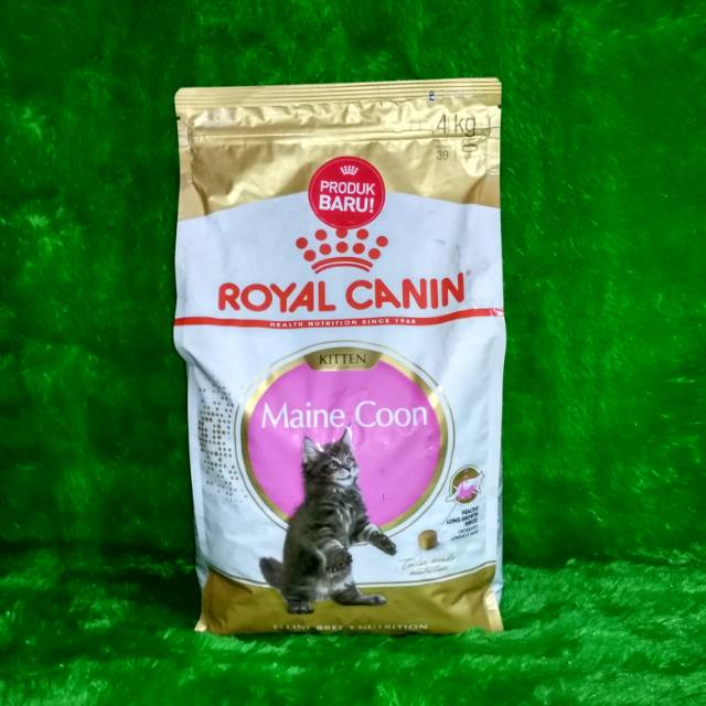 Royal canin Maine Coon mainecoon Kitten 4kg makanan kucing rc