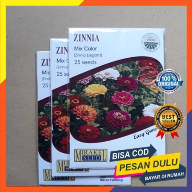 Jual Benih Bunga Bibit Tanaman Butir Bunga Zinnia Mix Color Isi Biji Mirakel Seed Shopee