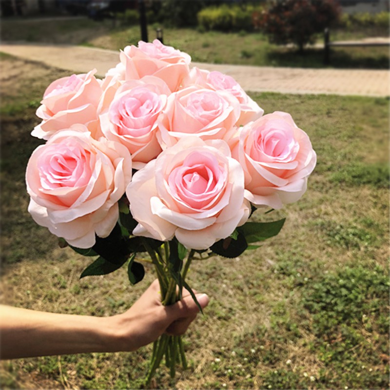 Paling Keren 10 Gambar Bunga  Mawar  Warna Pink  Gambar 