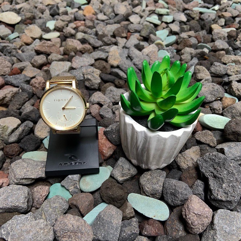 Jam tangan Ripcurl Circa Gold stainles