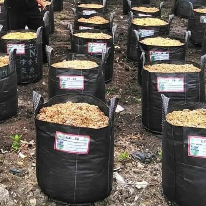 Monggo] Planter Bag Ukuran 100 Liter Planterbag Pot Terpal
