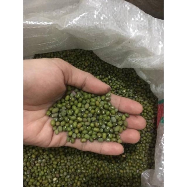 

Kacang Ijo 1Kg Baru Panen