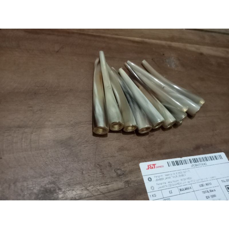 akar Bahar dan pipa rokok