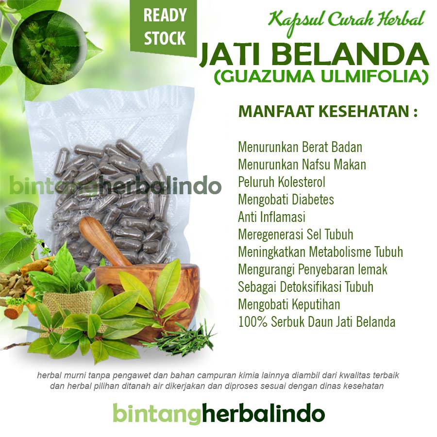 JATI BELANDA 100 Kapsul Curah Herbal Pelangsing Keputihan Detoks Diare