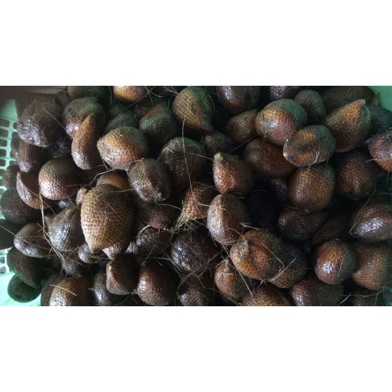 

SALAK PONDOH 1KG