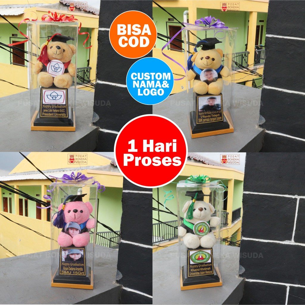 Piala Boneka Wisuda Mika Kado Hadiah Souvenir sekolah TK PAUD SD SMP Grosir Murah anak nama Custom