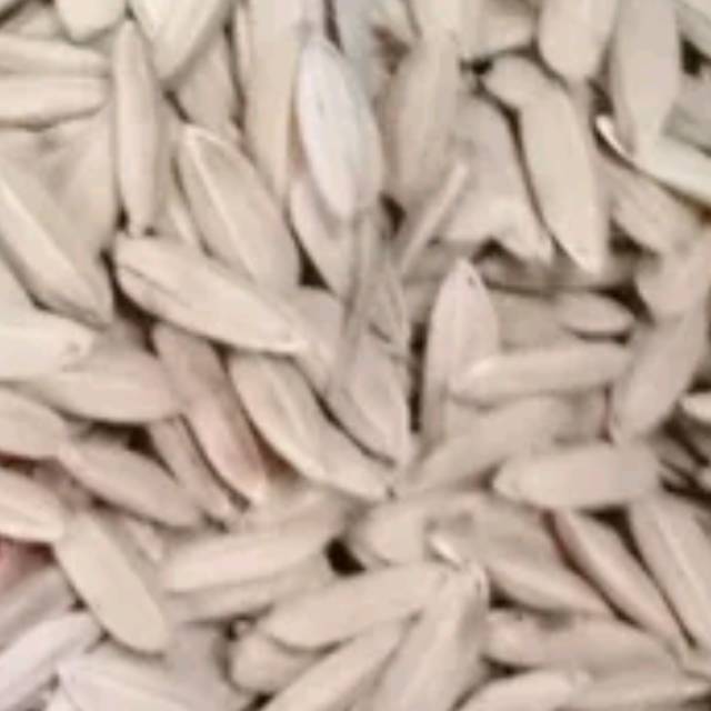 Gabah padi beras putih 1kg pakan ayam burung