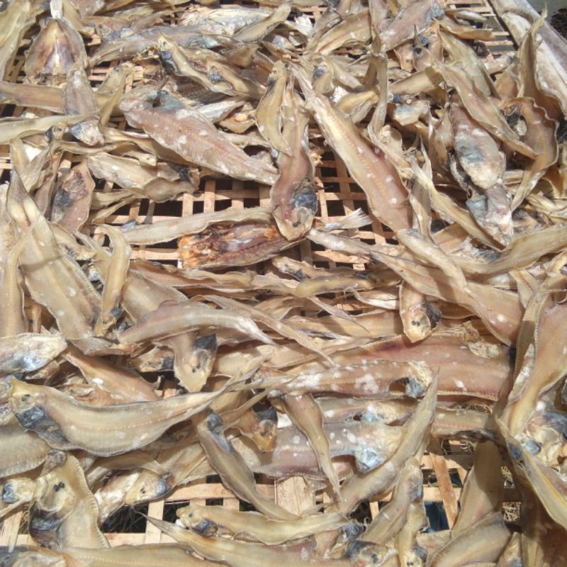 

Ikan asin lendra (ikan lidah) 500gram murah enak