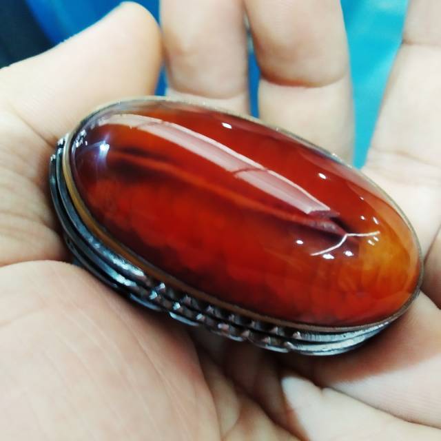 Pandan Nanas Merah babon