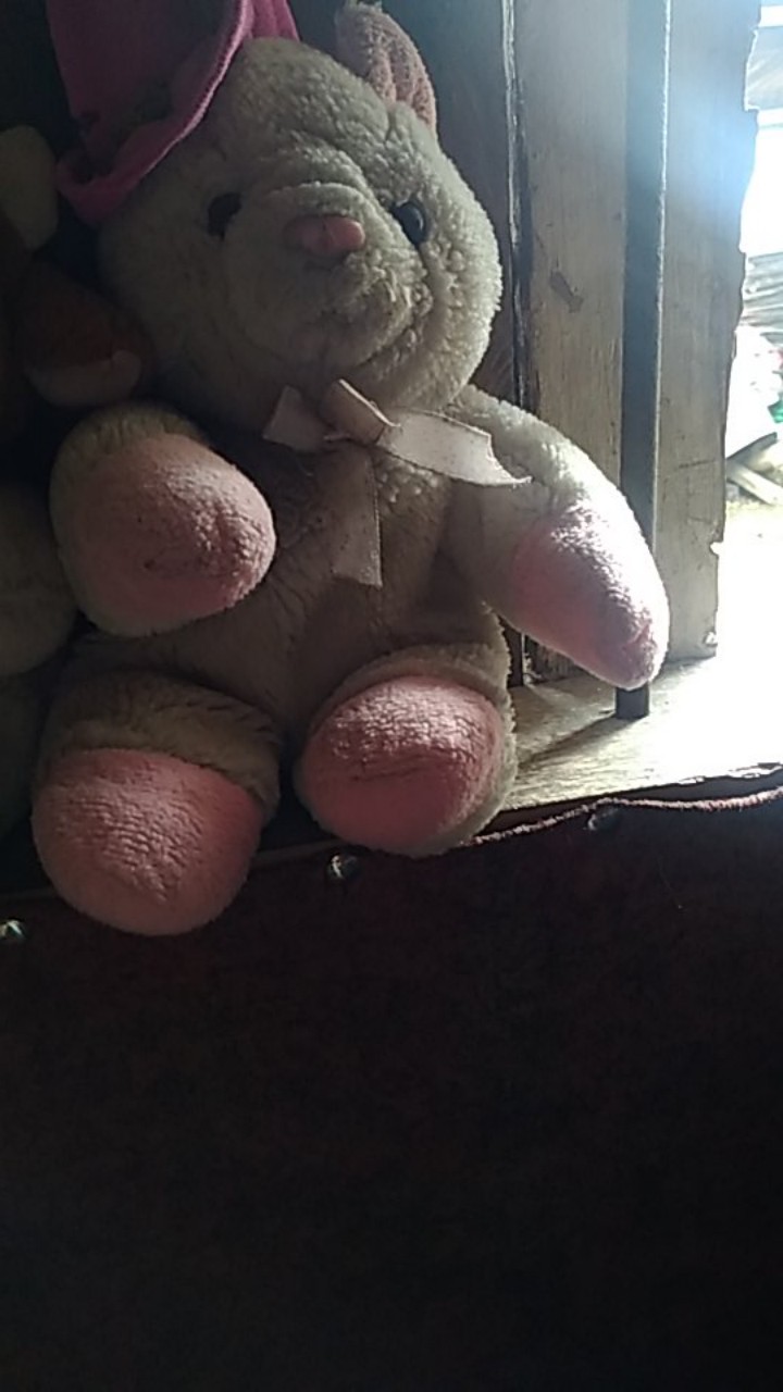 Pot Bulat Bola Pot Bunga Plastik Pot Telur Pxlxt (8x8x7)