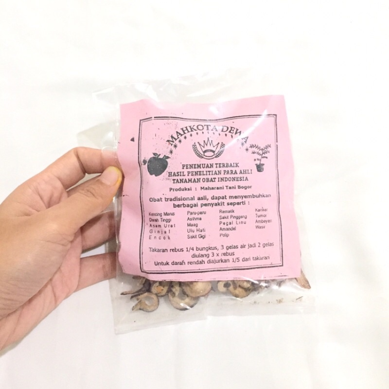 mahkota dewa obat tradisional traditional rempah ramuan herbal obat kencig manis gula darah darah tinggi asam urat ginjal encok jamu godok paru asma mah magh ulu sakit gigi polip amandel pegal linu sakit pinggang rematik kanker tumor ambeyen ambeien wasir