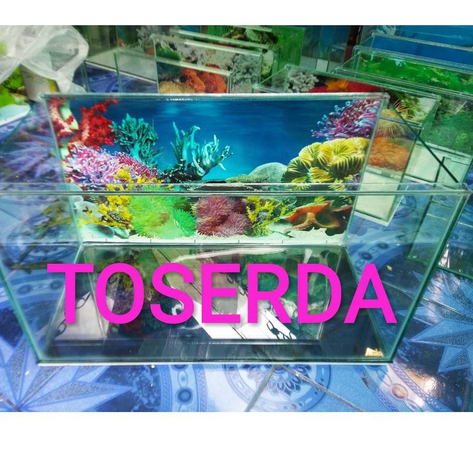 ❤ BELIO ❤ Aquarium 60x30x35 Akuarium Kaca Tebal Styrofoam Akuarium Cupang Aquarium Aquascape Aquariu