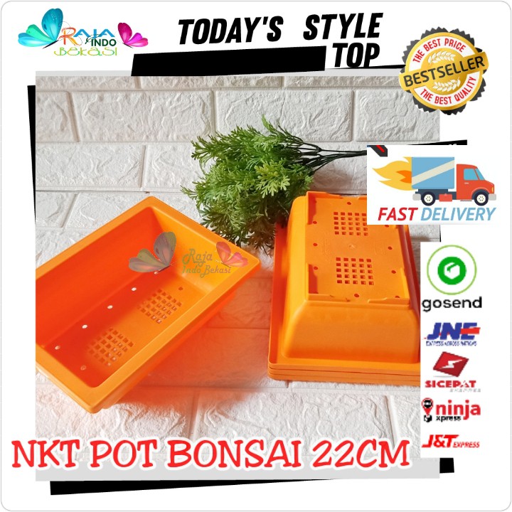 Pot Bonsai 01 Nkt 22 Cm Pot Kotak Bonsai Ceper Hitam Orange Hijau Putih - Bukan Pot Keramik Gabah