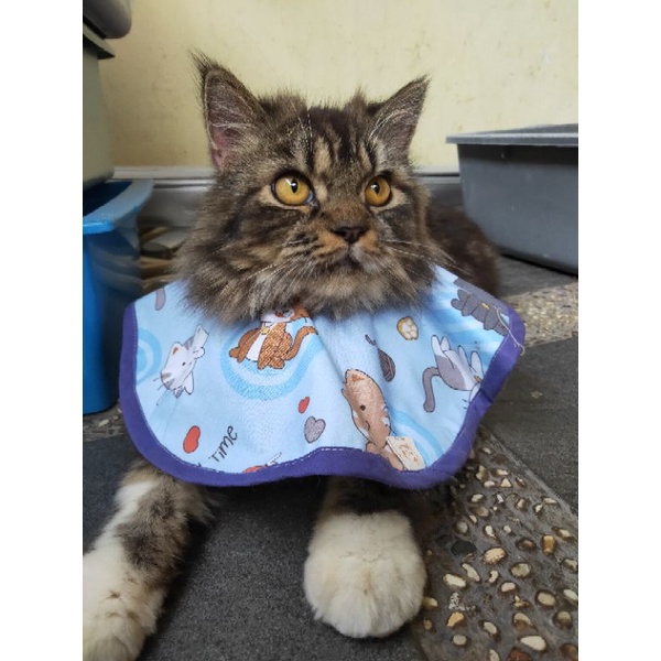 co-kain by cat addict shop / collar kain kucing / pelindung leher kucing / kalung collar kain kucing