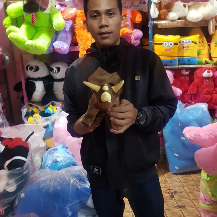 Must Have Foto Asli Mainan Edukasi Boneka Dinosaurus Tirex T-Rex Coklat Cokelat Termurah