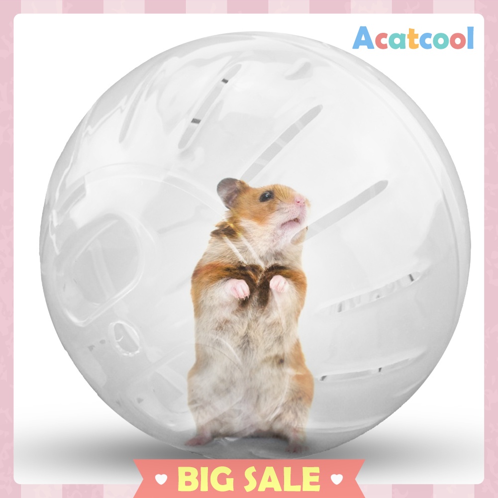 12cm Pet Rodent Mini Jogging Ball Hamster Exercise Plastic Clear Trot Ball